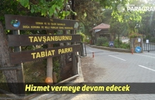 Didim Orman Kampı hizmet vermeye devam edecek