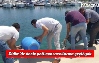 Didim’de deniz patlıcanı avcılarına geçit yok