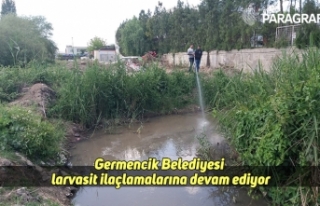 Germencik Belediyesi larvasit ilaçlamalarına devam...