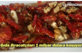 Gıda ihracatçıları 1 milyar dolara koşuyor