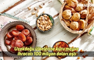 Uzakdoğu ülkelerine kuru meyve ihracatı 100 milyon...