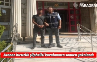 Aranan hırsızlık şüphelisi kovalamaca sonucu...