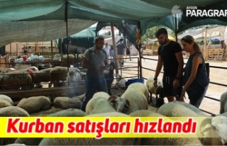 Arefe günü kurban satışları hızlandı