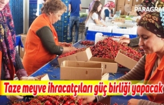 Taze meyve ihracatçıları güç birliği yapacak