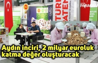 Aydın inciri, 2 milyar euroluk katma değer oluşturacak