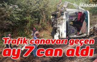 Aydın’da trafik canavarı geçen ay 7 can aldı
