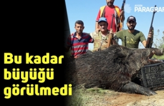 Bu kadar büyüğü görülmedi
