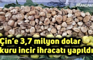 Çin’e 3,7 milyon dolar kuru incir ihracatı yapıldı