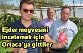 Ejder meyvesini incelemek için Aydın’dan Ortaca’ya...