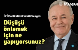 İYİ Parti Milletvekili Sezgin: Düşüşü önlemek...