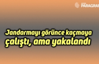 Jandarmayı görünce kaçmaya çalıştı, ama yakalandı