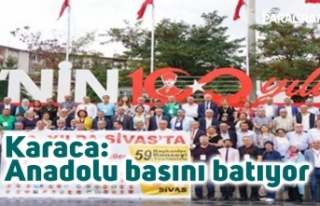 Karaca, 'Anadolu basını batıyor'