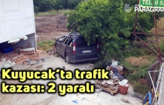Kuyucak’ta trafik kazası: 2 yaralı