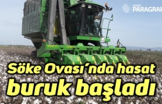 Söke Ovası’nda hasat buruk başladı
