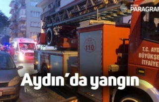 Aydın'da yangın
