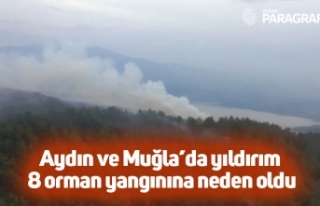 Aydın ve Muğla’da yıldırım 8 orman yangınına...