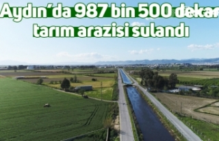 Aydın’da 987 bin 500 dekar tarım arazisi sulandı