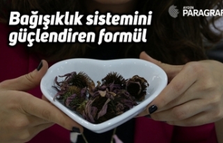 Bağışıklık sistemini güçlendiren formül
