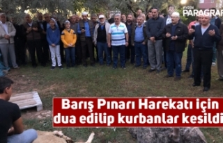 Barış Pınarı Harekatı için dua edilip kurbanlar...