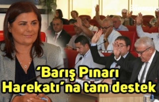 ‘Barış Pınarı Harekatı’na tam destek