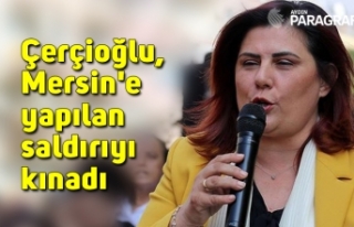 Çerçioğlu, Mersin'e yapılan saldırıyı...