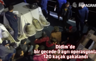 Didim’de bir gecede 3 ayrı operasyonla 120 kaçak...