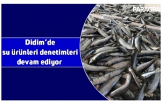 Didim’de su ürünleri denetimleri devam ediyor