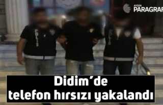 Didim’de telefon hırsızı yakalandı