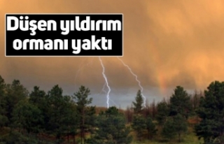 Düşen yıldırım ormanı yaktı