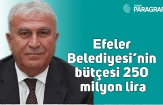 Efeler Belediyesi’nin bütçesi 250 milyon lira