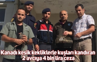 Kanadı kesik kekliklerle kuşları kandıran 2 avcıya...
