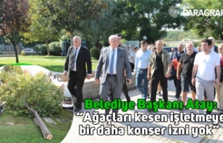 Konser alanı oluşturmak için ağaçları kestiler
