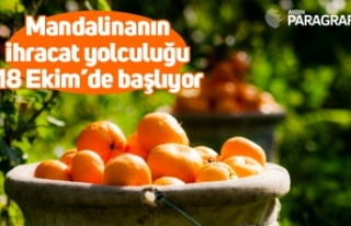 Mandalinanın ihracat yolculuğu 18 Ekim’de başlıyor
