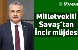 Milletvekili Savaş’tan İncir müjdesi