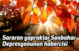 Sararan yapraklar Sonbahar Depresyonunun habercisi