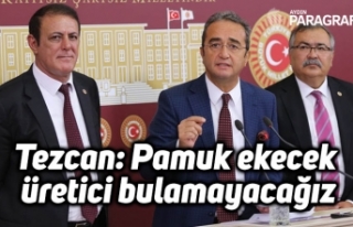 Tezcan: Pamuk ekecek üretici bulamayacağız