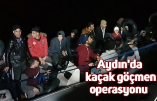 Aydın'da kaçak göçmen operasyonu