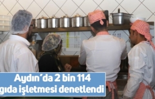 Aydın’da 2 bin 114 gıda işletmesi denetlendi