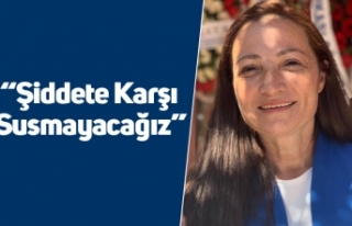 CHP'li Müjgan Dalgıç; “Şiddete Karşı...