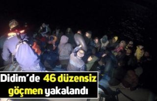 Didim’de  46 düzensiz göçmen yakalandı