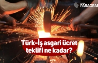 Türk-İş asgari ücret teklifi ne kadar?