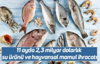 11 ayda 2,3 milyar dolarlık su ürünü ve hayvansal...