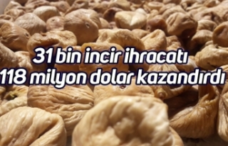 31 bin incir ihracatı 118 milyon dolar kazandırdı