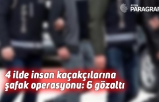 4 ilde insan kaçakçılarına şafak operasyonu:...