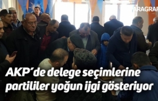 AKP’de delege seçimlerine partililer yoğun ijgi...