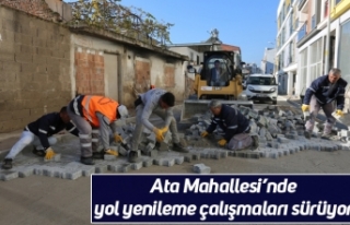 Ata Mahallesi’nde yol yenileme çalışmaları sürüyor