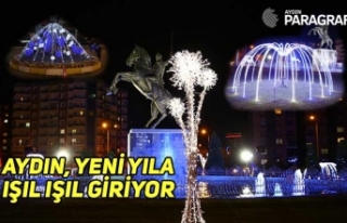 AYDIN, YENİ YILA IŞIL IŞIL GİRİYOR