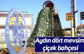 Aydın dört mevsim çiçek bahçesi