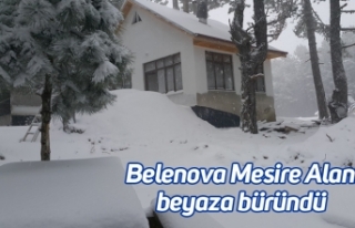 Belenova Mesire Alanı beyaza büründü