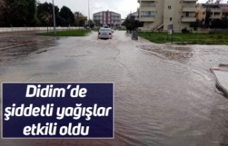 Didim’de şiddetli yağışlar etkili oldu